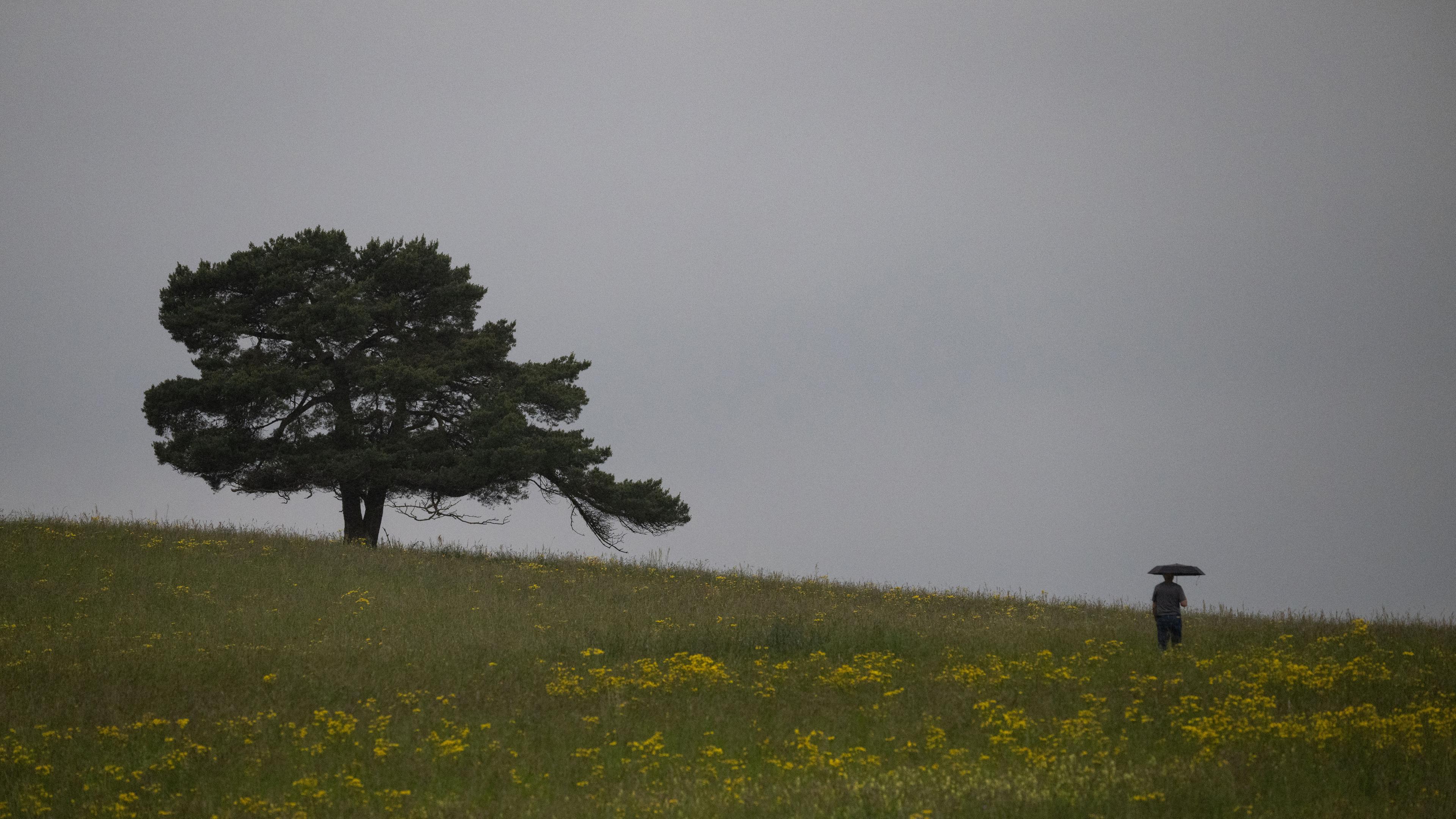 Typical: Regen