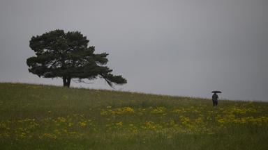 Typical: Regen