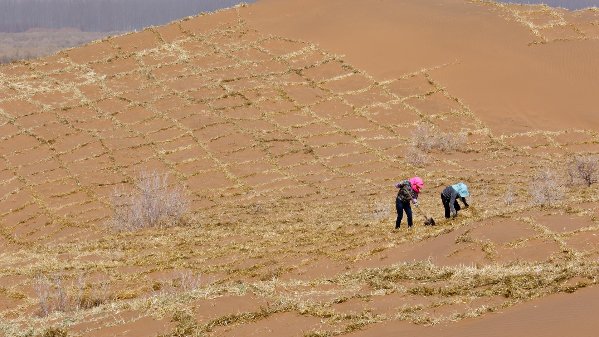 Typical: Wüstenbildung