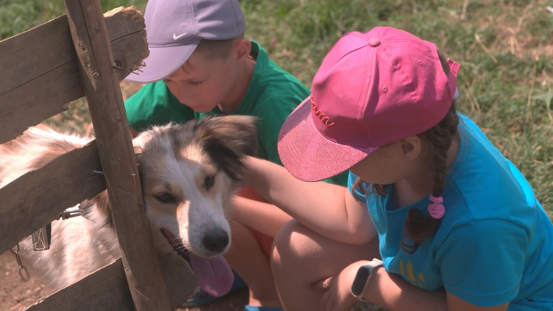 Zwei Kinder spielen mit einem Hund