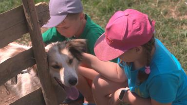 Zwei Kinder spielen mit einem Hund