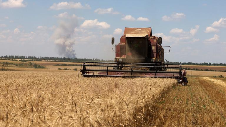Eine Erntemaschine rollt über ein Getreidefeld