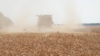 Ukraine: Landwirtschaft in Zeiten des Krieges