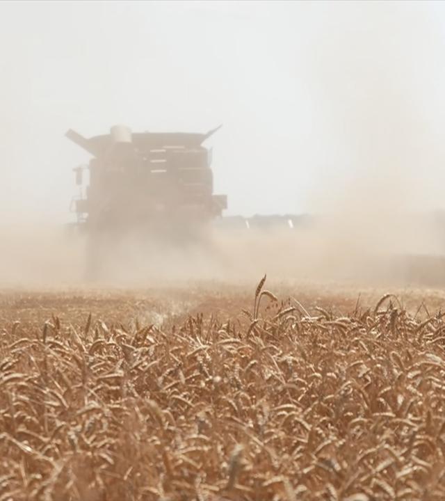 Ukraine: Landwirtschaft in Zeiten des Krieges
