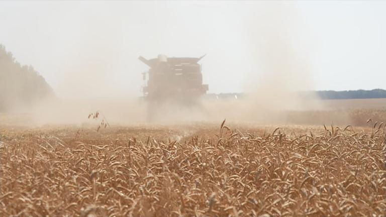 Ukraine: Landwirtschaft in Zeiten des Krieges