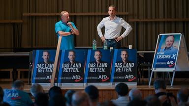 Ökonomen warnen vor Wirtschaftsplänen der AfD