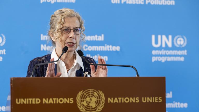 Inger Andersen vor einem Podest, vermutlich eine Rede haltend