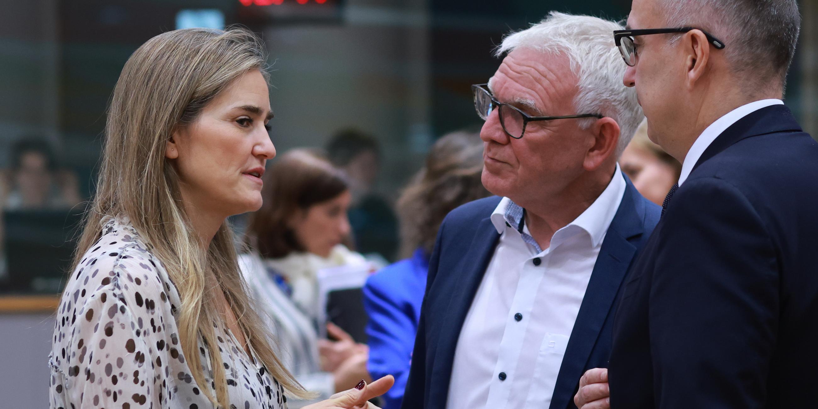 EU-Umweltminister reden miteinander und gestikulieren dabei