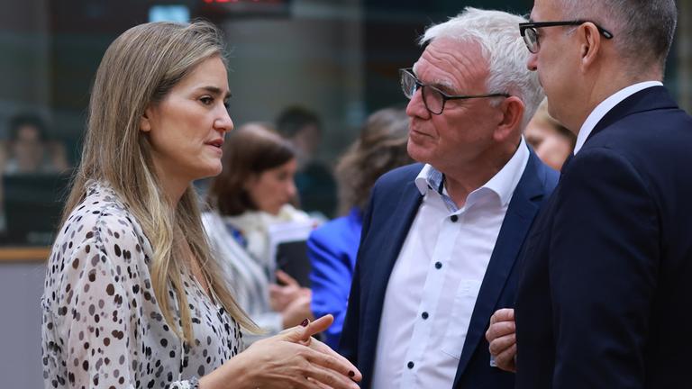 EU-Umweltminister reden miteinander und gestikulieren dabei