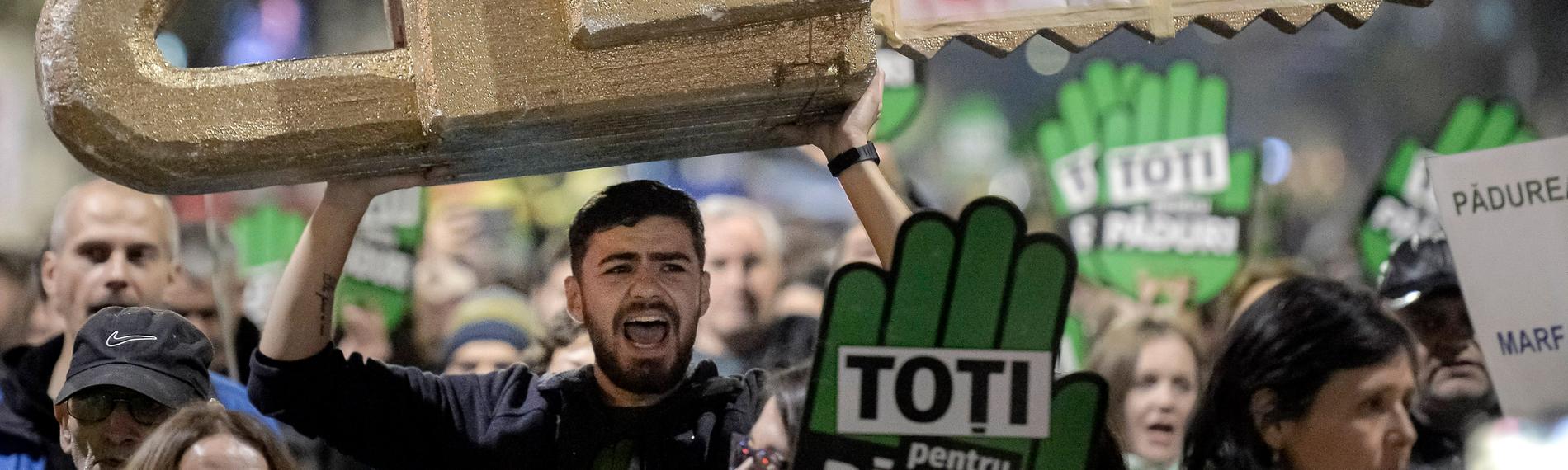 Demonstration gegen die illegale Abholzung im November 2019