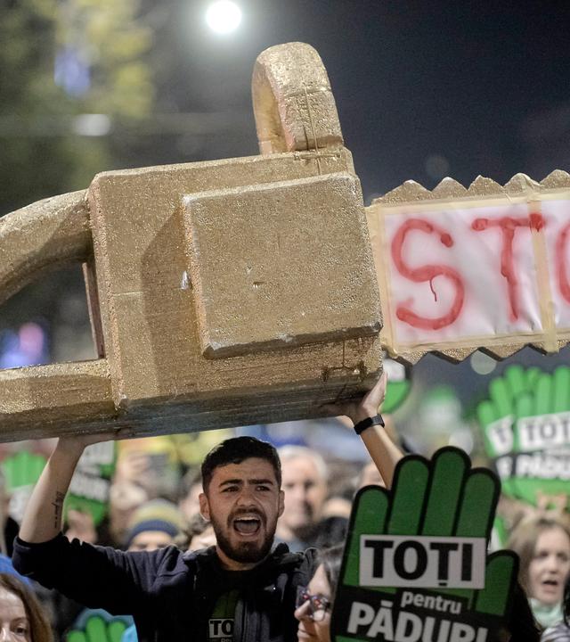 Demonstration gegen die illegale Abholzung im November 2019