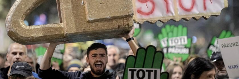 Demonstration gegen die illegale Abholzung im November 2019