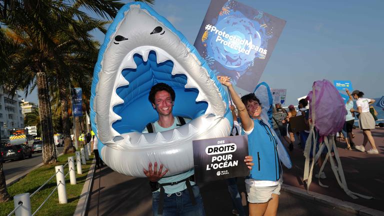 Ein Demonstrant in einem Hai-Kostüm