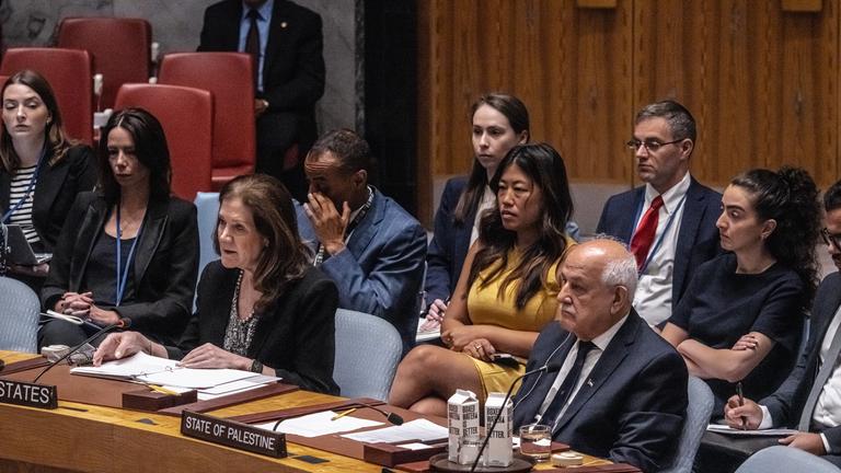 Mehrere Vertreter der Mitgliedsstaaten diskutieren im Plenum über das israelische Vorgehen