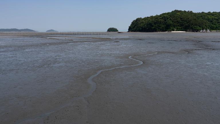 Wattenmeer in Südkorea.