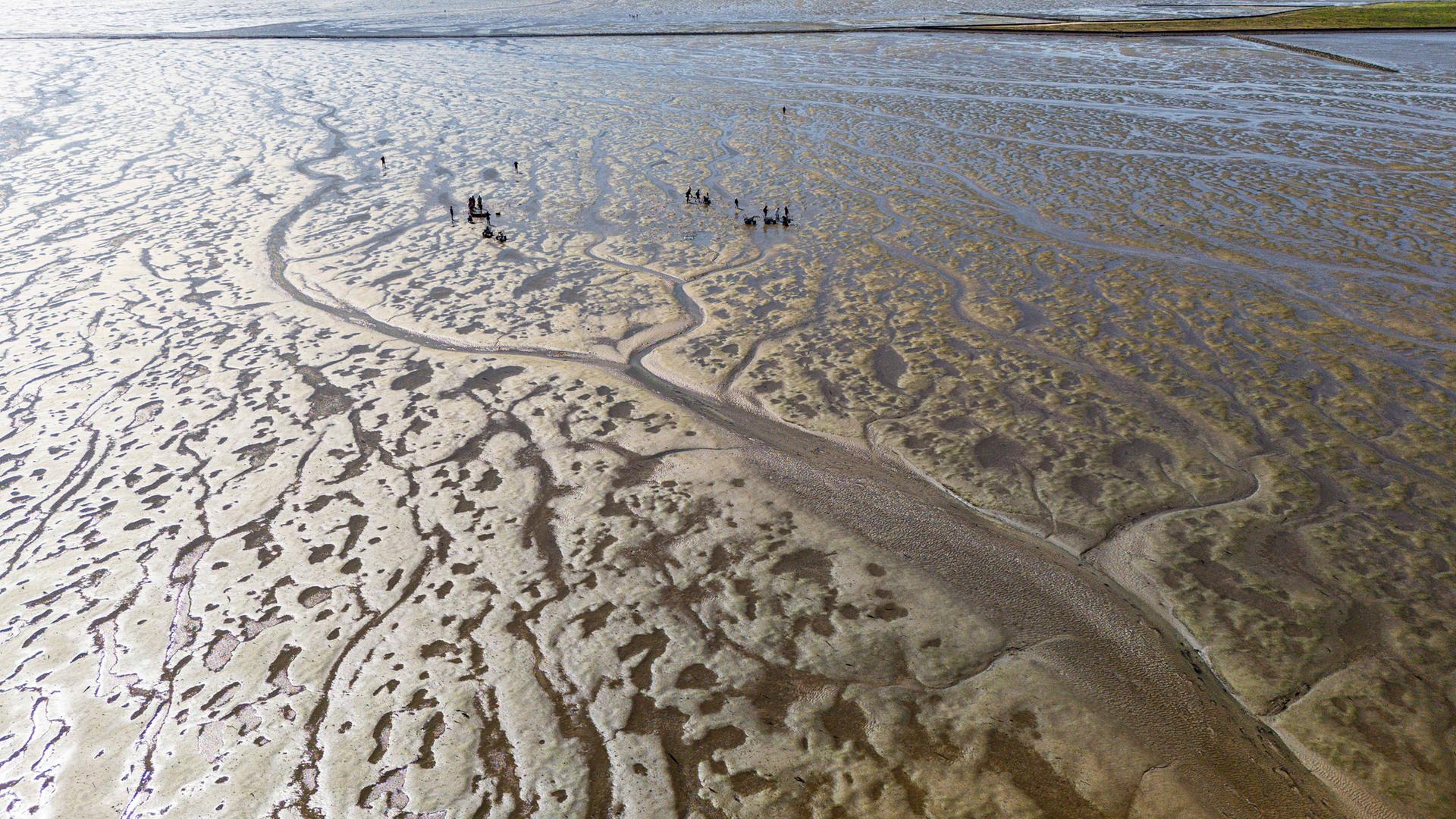 Schleswig-Holstein, Nordstrand: Unesco-Welterbe Watt