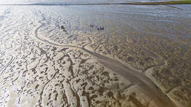 Schleswig-Holstein, Nordstrand: Unesco-Welterbe Watt