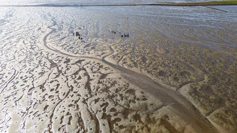 Schleswig-Holstein, Nordstrand: Unesco-Welterbe Watt