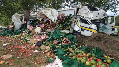 Melonen liegen neben der Fahrbahn auf einem Acker, nachdem ein Lkw gegen einen Baum geprallt ist.
