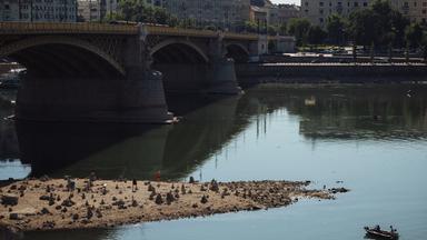 Die Donau in Budapest mit historisch niedrigem Wasserstand, freiliegendem Flussbett und Sandbänken nach anhaltender Hitze und Trockenheit.