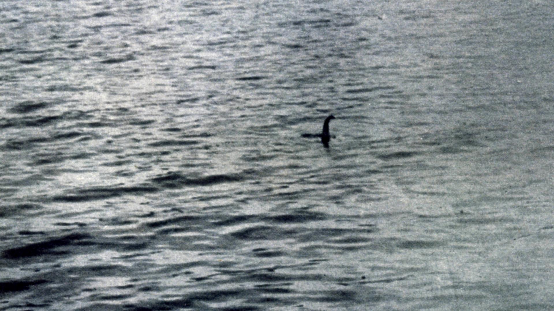 Angebliche Sichtung von Nessie 1934