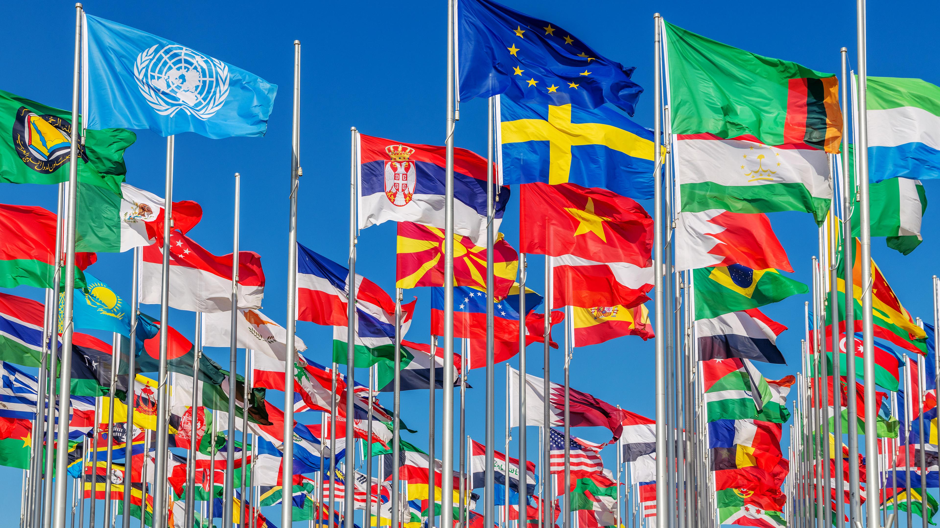 An Fahnenmasten aus Metall wehen ganz viele bunte Länderflaggen. Im Vordergrund die Fahnen von Uno und Europäischer Union.