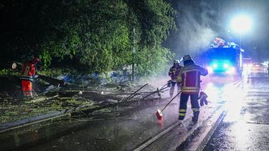 Die Feuerwehr befreit eine Straße von einem umgestürtzten Baum im Ostalbkreis.
