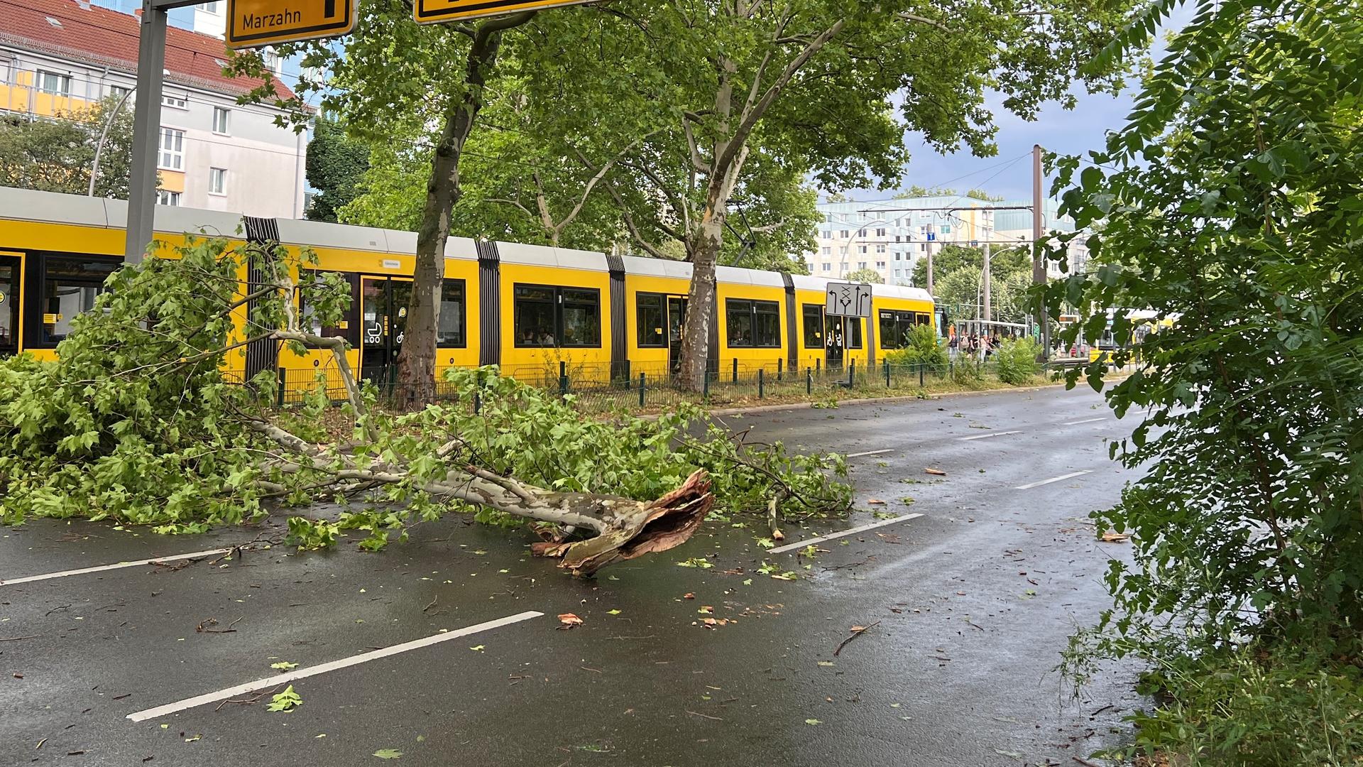 Äste liegen nach einem Sturm auf der Straße im Stadtteil Prenzlauer Berg. 