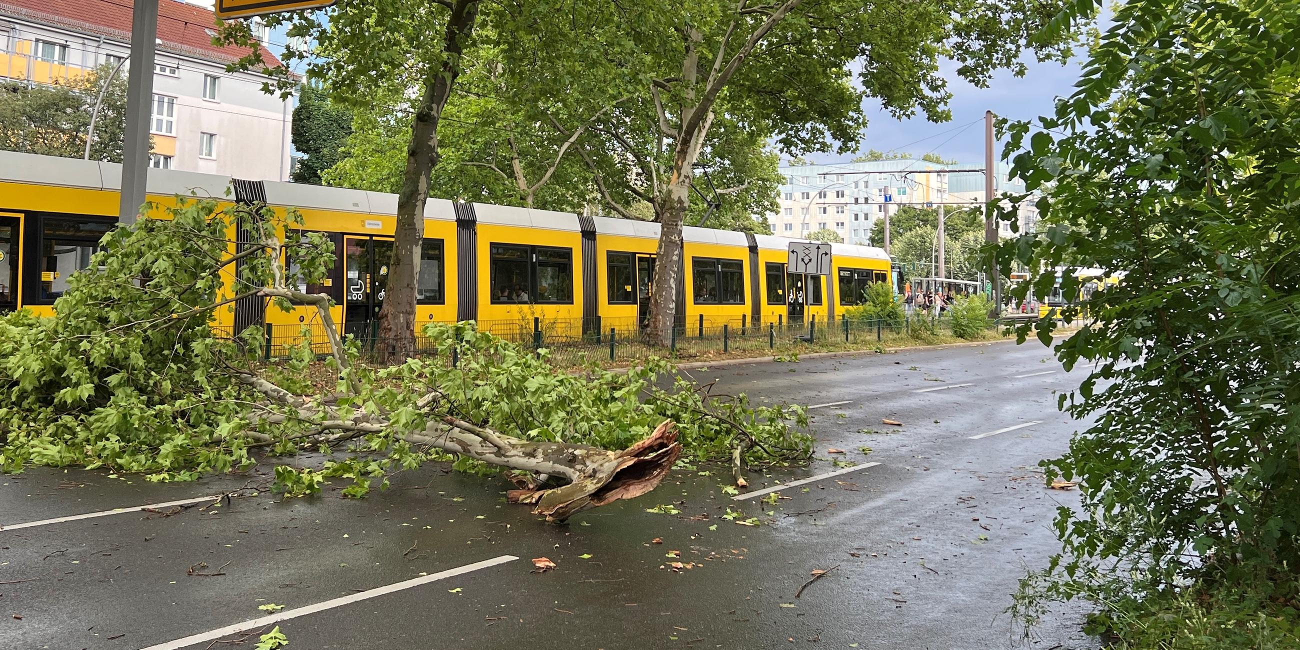 Äste liegen nach einem Sturm auf der Straße im Stadtteil Prenzlauer Berg. 
