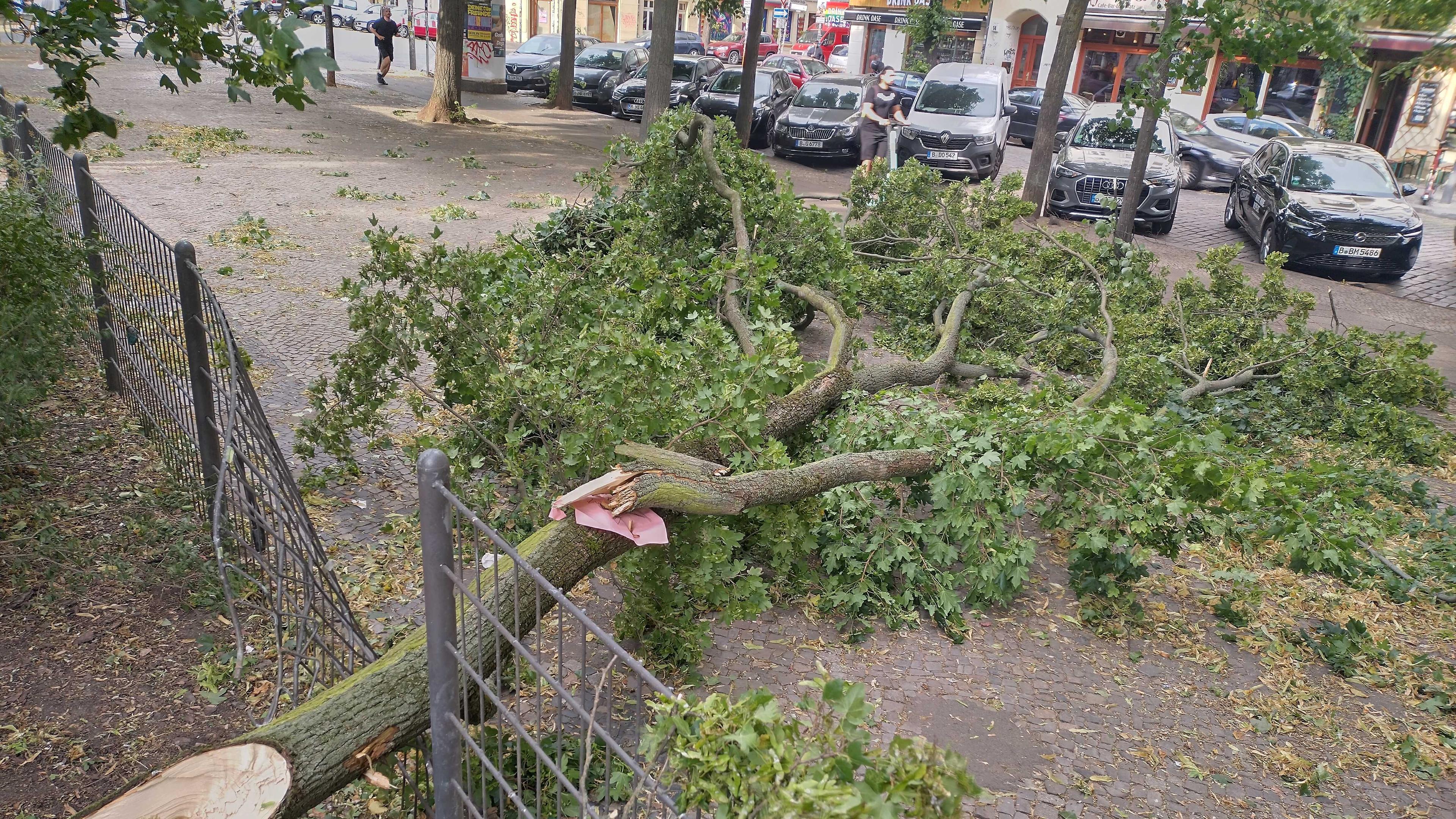 Ein vom Sturm umgestürzter Baum liegt am Boxhagener Platz auf einem Gehweg.
