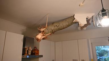 Ein Baumstamm ragt nach einem Unwetter in Fürstenwalde-Süd aus der Decke in der Küche eines Wohnhauses. 