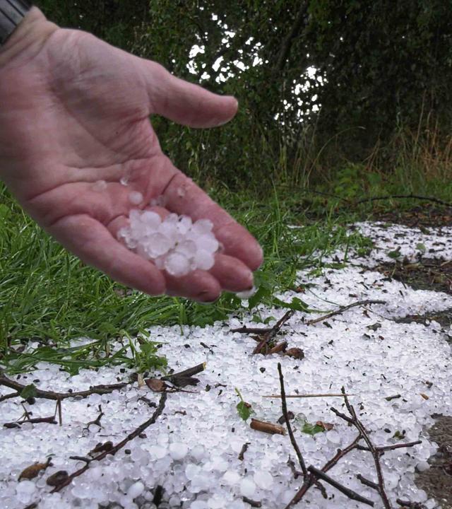 Eine Hand zeigt Hagelkörner nach einem Unwetter bei Ludwigslust. 