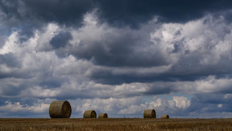 Weiterer Regen für Berlin und Brandenburg erwartet