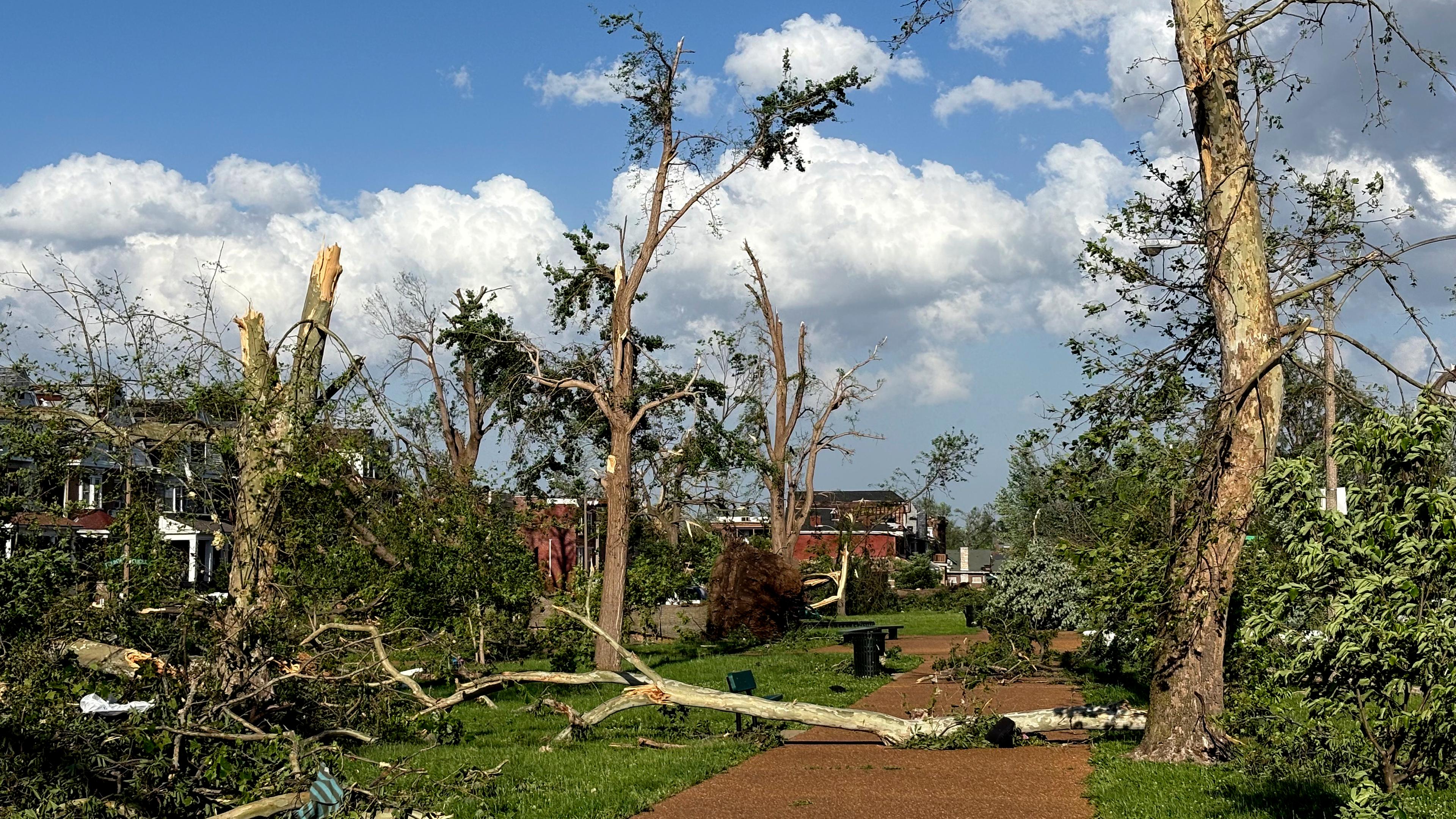 Beschädigte und umgestürzte Bäume sind in St. Louis, Missouri, zu sehen, als schwere Stürme, darunter möglicherweise ein Tornado, über die Stadt hinwegfegten.