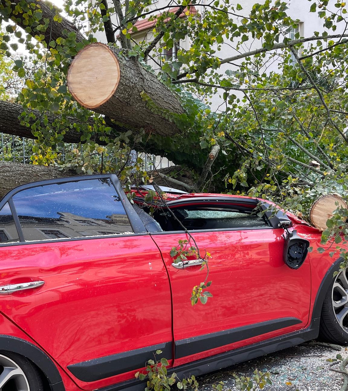 21.10.2021, Sachsen, Görlitz: Ein durch Sturmböen umgeknickter Baum ist auf ein Auto gefallen.