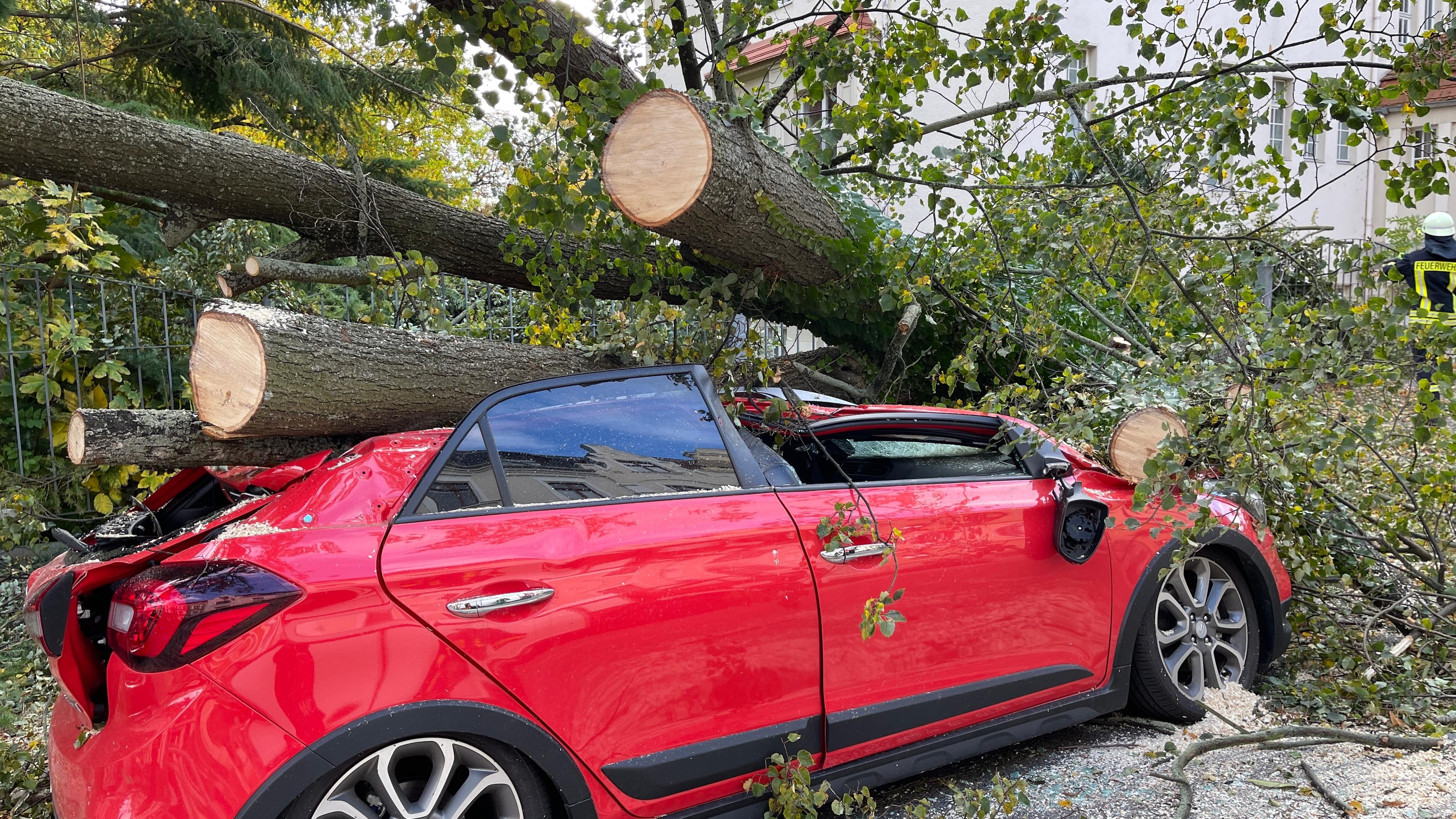 21.10.2021, Sachsen, Görlitz: Ein durch Sturmböen umgeknickter Baum ist auf ein Auto gefallen.