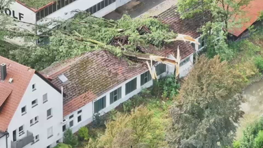 Das Bild zeigt eine Luftaufnahme von einem Haus, auf das ein großer Baum gekracht ist.