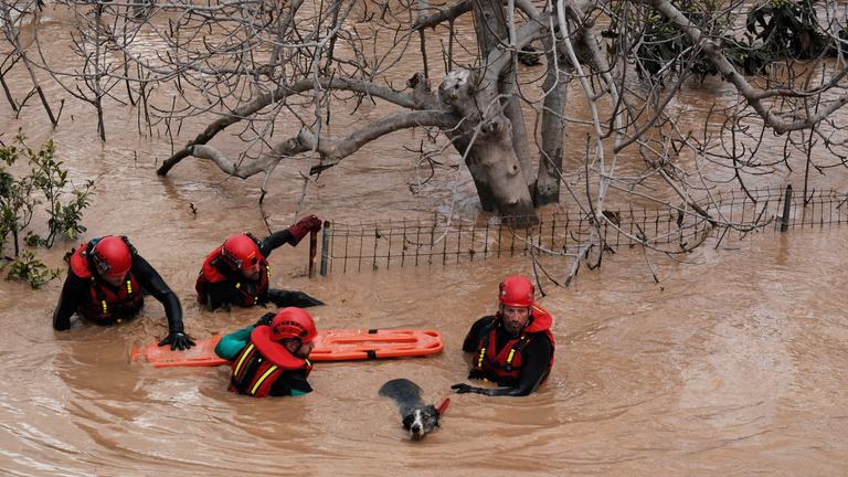 Rettungskräfte retten einen Hund in einem überfluteten Gebiet nach heftigen Regenfällen in Malaga. 