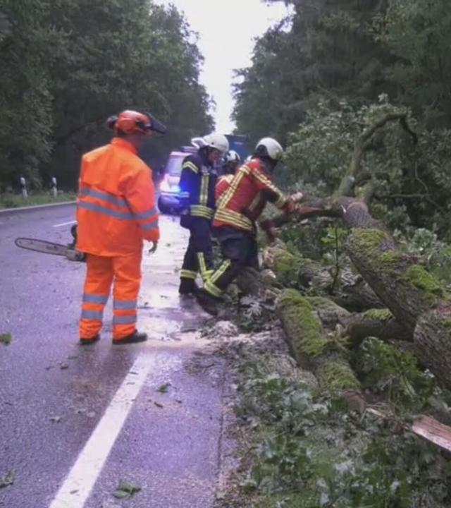 Feuerwehrmänner räumen einen umgestürzten Baum von der Straße