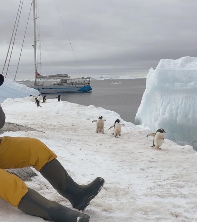 Mann sitzt mit Kamera auf dem Eis. Im Hintergrund sind Pinguine und ein Segelboot in der Antarktis-Landschaft zu sehen.