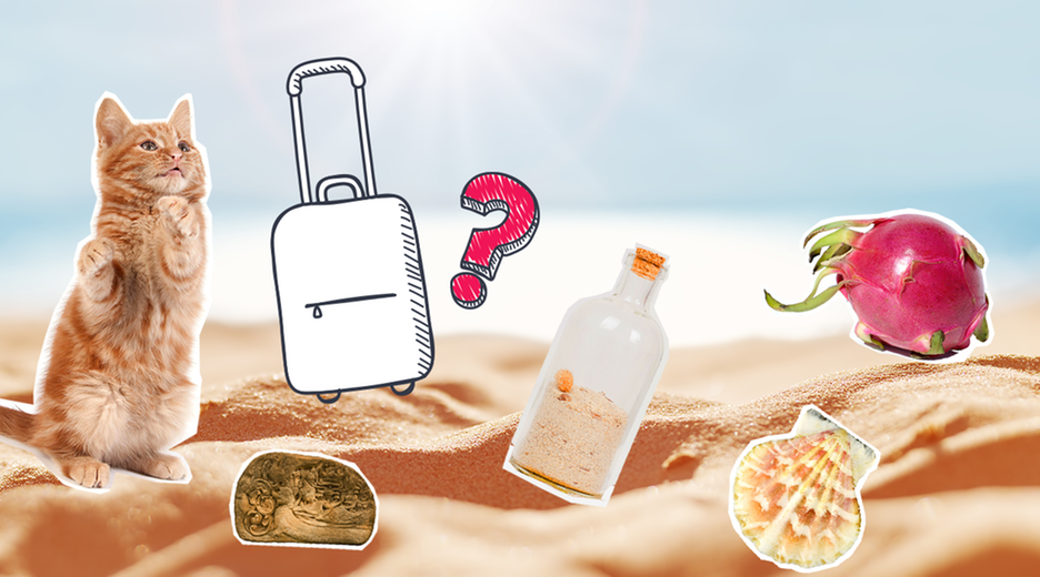 Urlaubs Mitbringsel