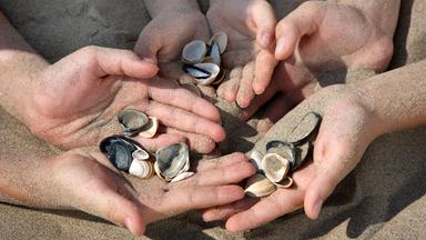 Muscheln, Steine oder Sand: Diese Souvenirs sind verboten