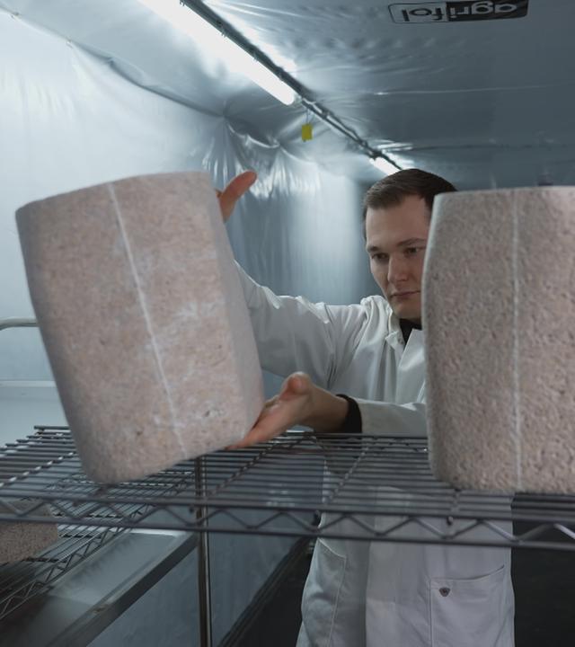 Herstellung von Urnen aus Pilzen