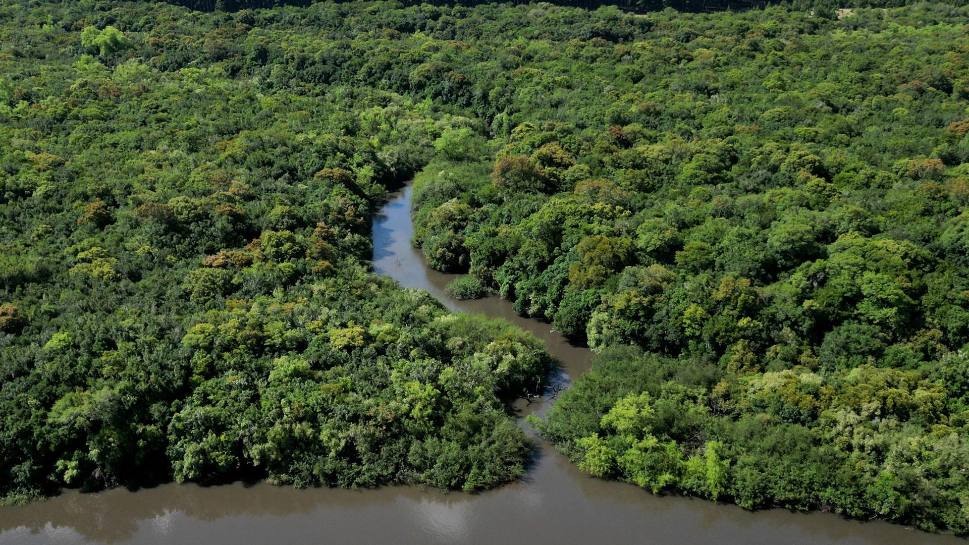 Blick auf Flusslandschaft in Uruguay.