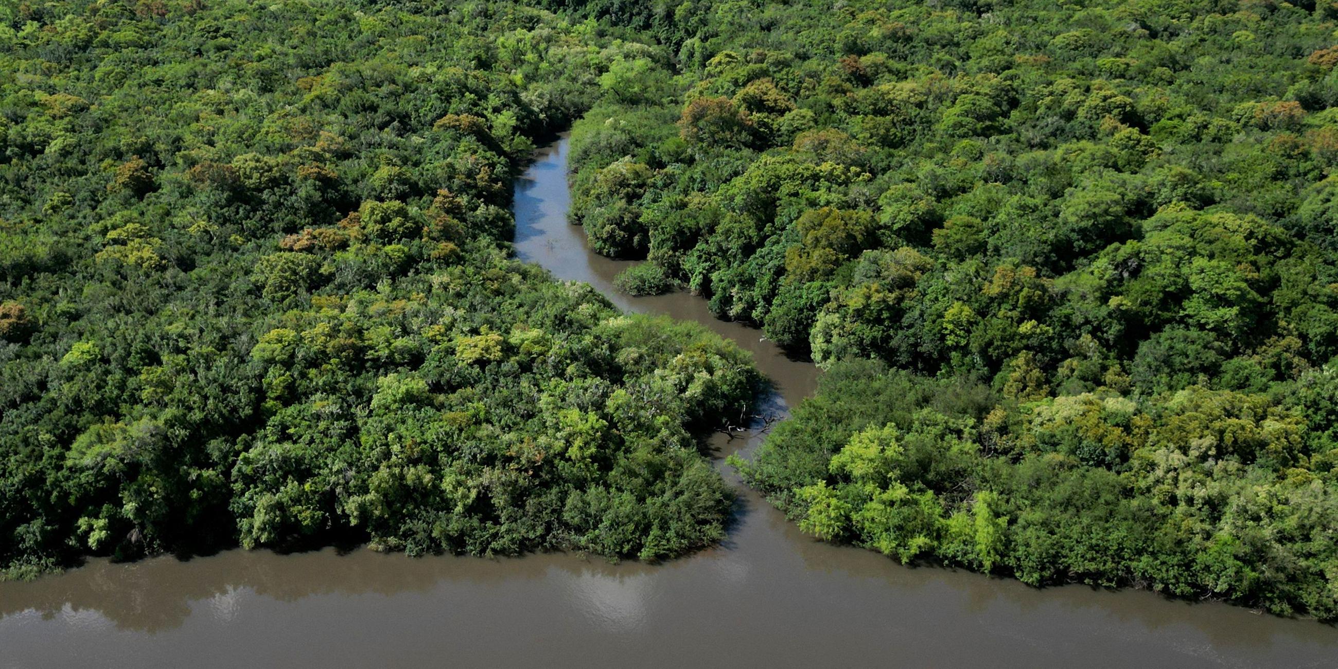 Blick auf Flusslandschaft in Uruguay.