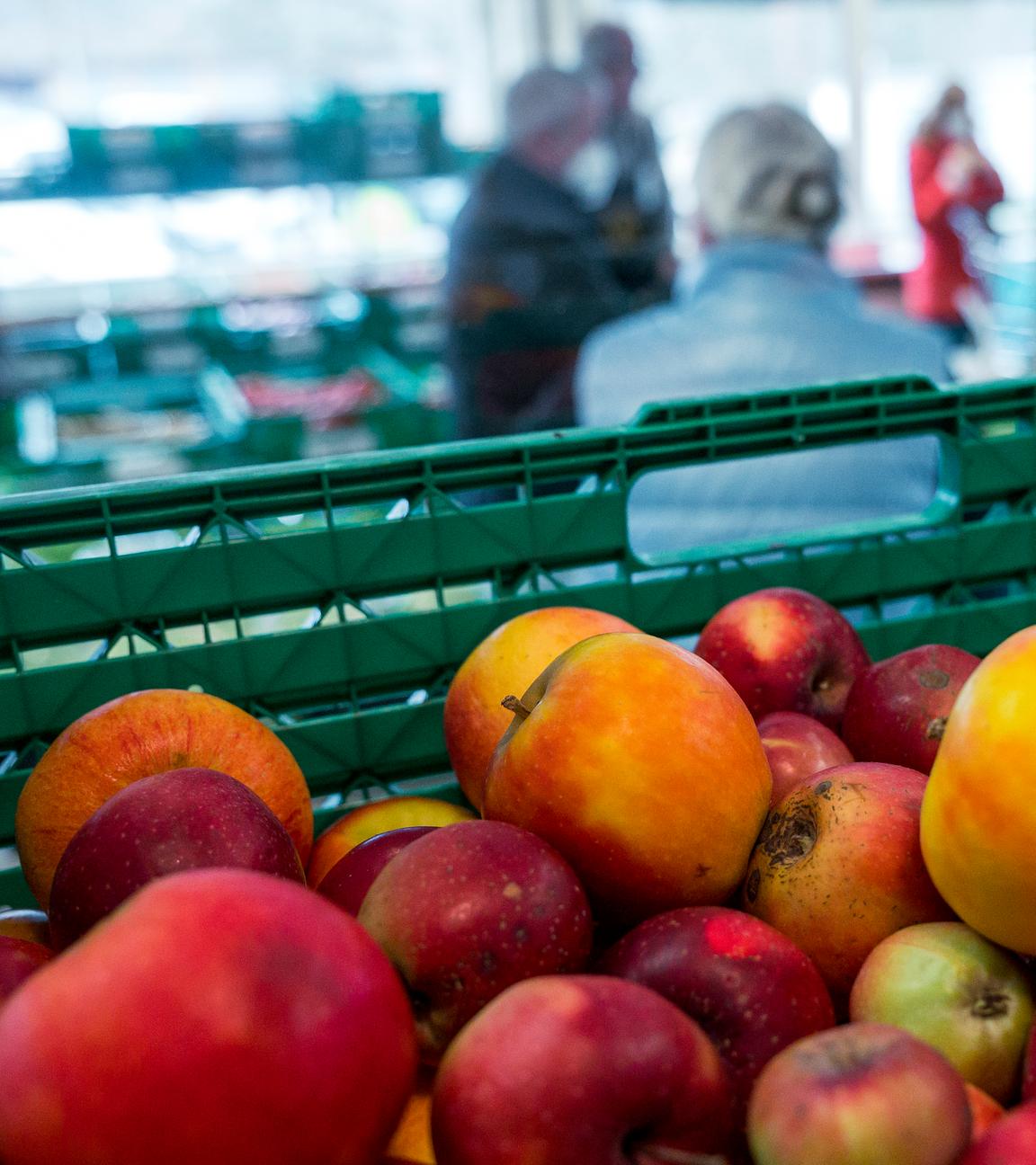 23.11.2022, Bayern, Coburg: Äpfel liegen in einer Gemüsekiste in den Verkaufsräumen der Tafel Coburg.