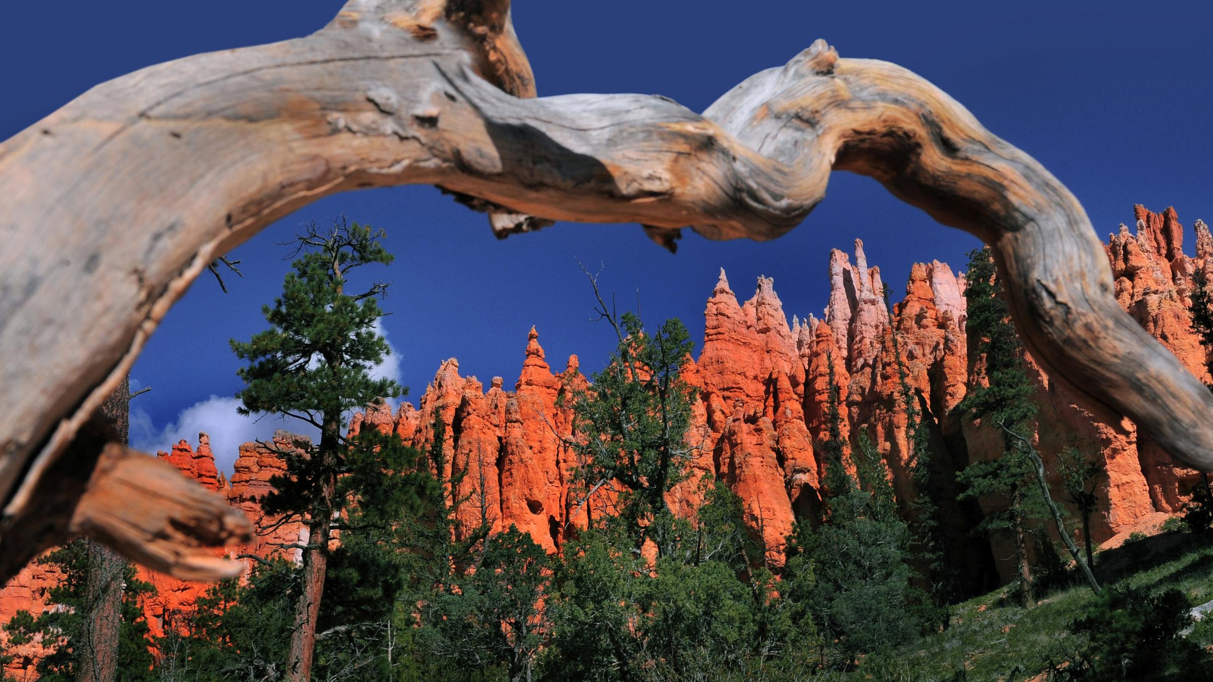 Bryce Canyon Nationalpark
