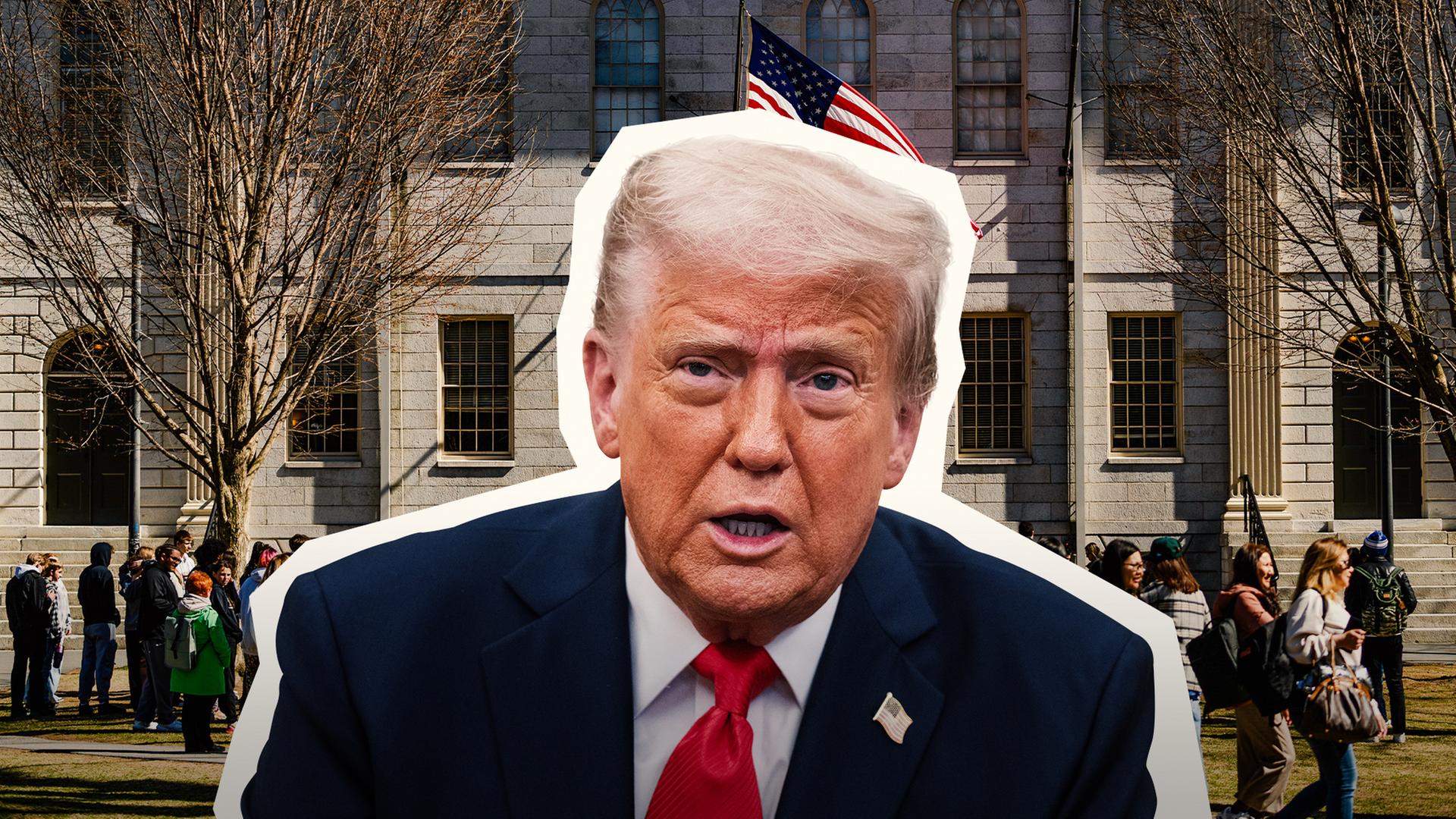 Donald Trump vor Elite-Universität. 