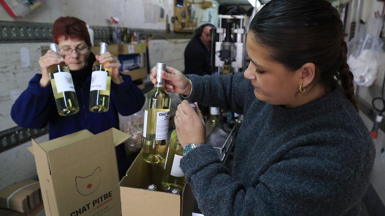 Zwei Frauen verpacken Weinflaschen in Pappkartons in einem Weingut in Südfrankreich.