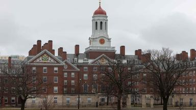 Harvard Universität